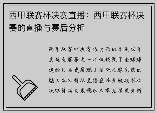 西甲联赛杯决赛直播：西甲联赛杯决赛的直播与赛后分析